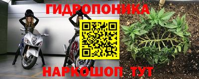 ПСИЛОЦИБИНОВЫЕ ГРИБЫ Нальчик