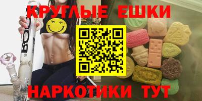 стаф Можга