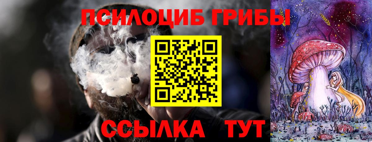 Галлюциногенные грибы Psilocybine cubensis Владимир